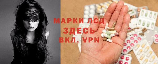 apvp Верея
